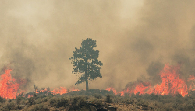 Fire seared the hills above the Stennes homestead ranch.